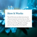 natures-sunshine-thyroid-activator-100-c-6.jpg