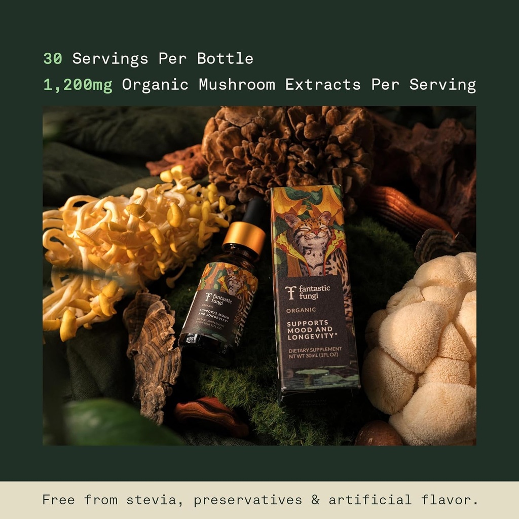 fantastic-fungi-mushroom-extract---8-in--6.jpg