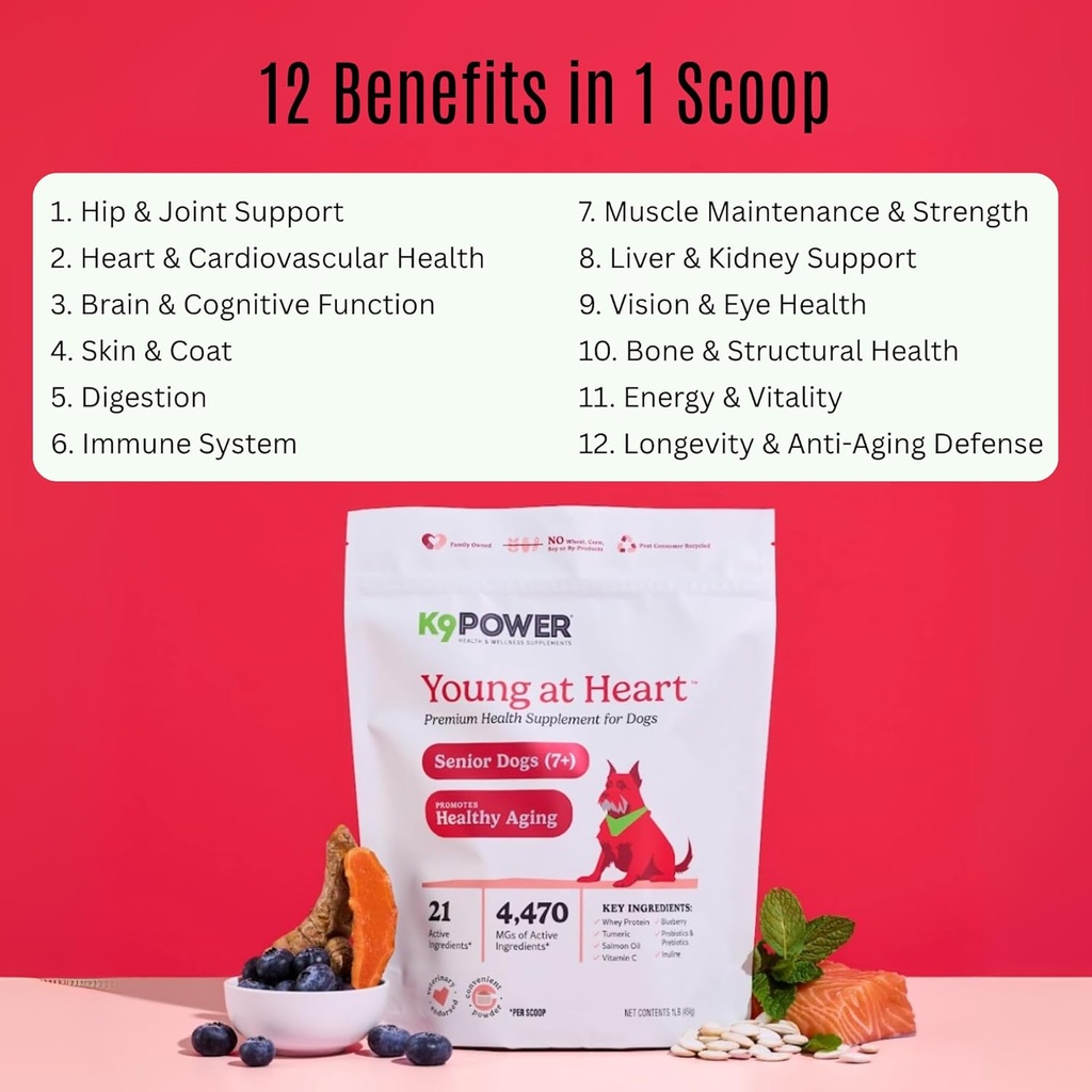 k9-power-young-at-heart-senior-dog-multi-3.jpg