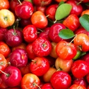 pure-original-ingredients-acerola-cherry-6.jpg