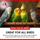 morning-bird-calcium-plus-powder-for-bir-3.jpg