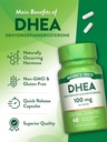 natures-truth-dhea-100mg-60-capsules-non-5.jpg