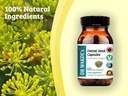 dr-wakdes-fennel-seed-capsules-60-veg-ca-5.jpg