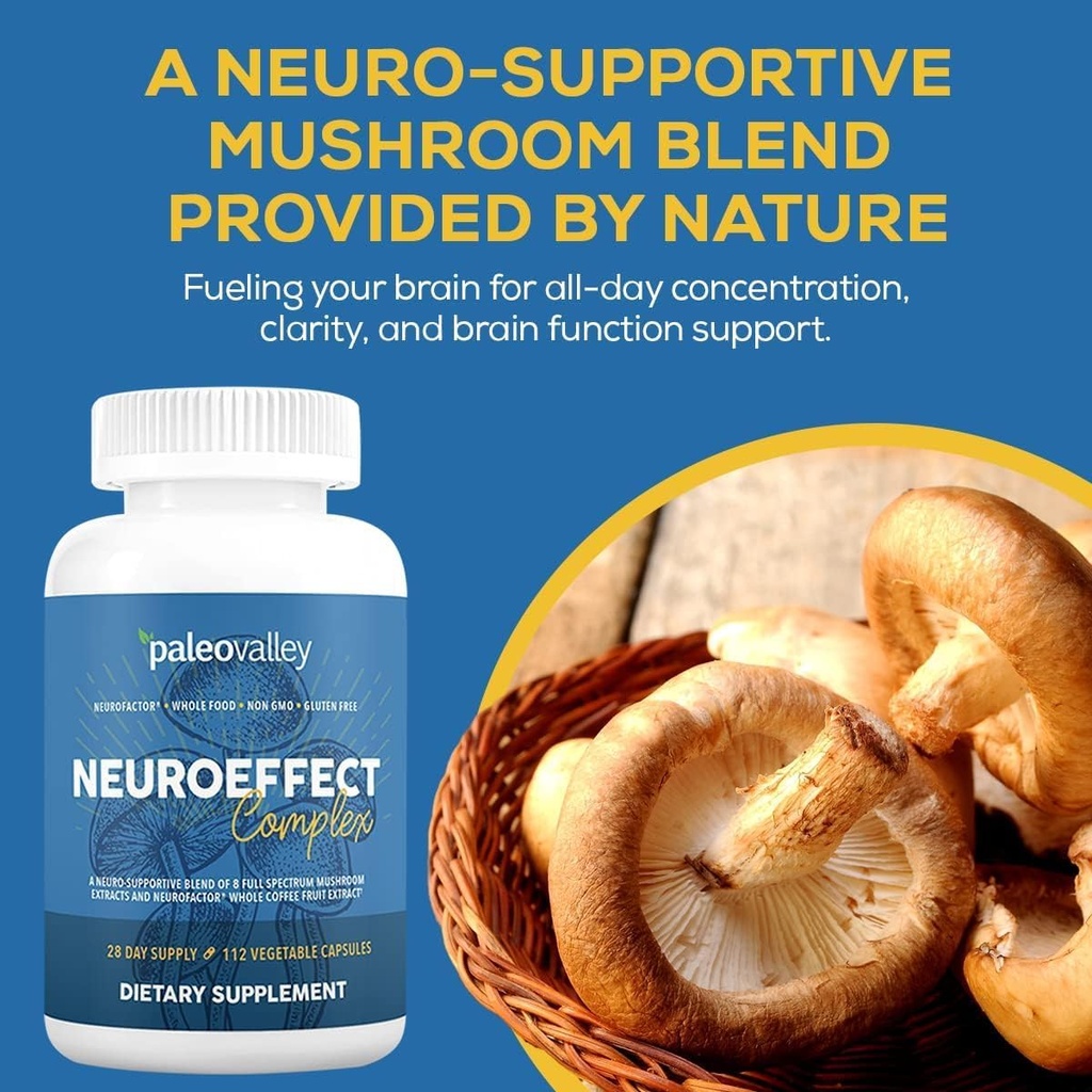 paleovalley-neuroeffect---neuro-mushroom-3.jpg