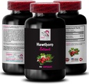 wild-berry-source---hawthorn-extract---a-2.jpg