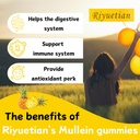 mullein-gummies-2000mg-organic-mullein-l-4.jpg