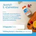 doctors-best-acetyl-l-carnitine-supports-5.jpg