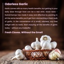 garlic-extract-4.jpg