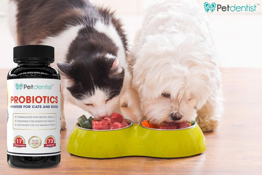 probiotics-for-dogs-and-cats-17-bacteria-4.jpg