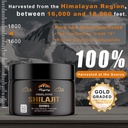 shilajit-pure-himalayan-organic-resin----2.jpg