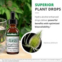 nutramedix-teasal-extract---fullers-teas-5.jpg