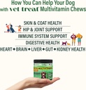 dog-multivitamin-chewable-with-glucosami-2.jpg