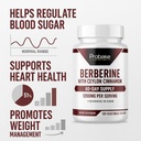 probase-nutrition-berberine-with-cinnamo-5.jpg
