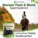 silver-lining-herbs-feet-bone-support-ho-6.jpg