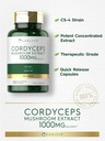 carlyle-cordyceps-mushroom-capsules-1000-4.jpg