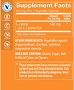 the-vitamin-shoppe-l-lysine-500mg-once-d-2.jpg