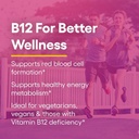 natural-factors-vitamin-b12-methylcobala-5.jpg
