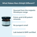 mars-himalayan-shilajit-gold-resin-organ-3.jpg