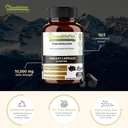 pure-himalayan-shilajit-capsulesmaximum--2.jpg
