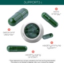 teaveli-citicoline-with-spirulina-chlore-4.jpg