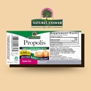 natures-answer-propolis-resin-with-organ-2.jpg