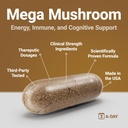 procera-mega-mushroom---improved-memory--4.jpg