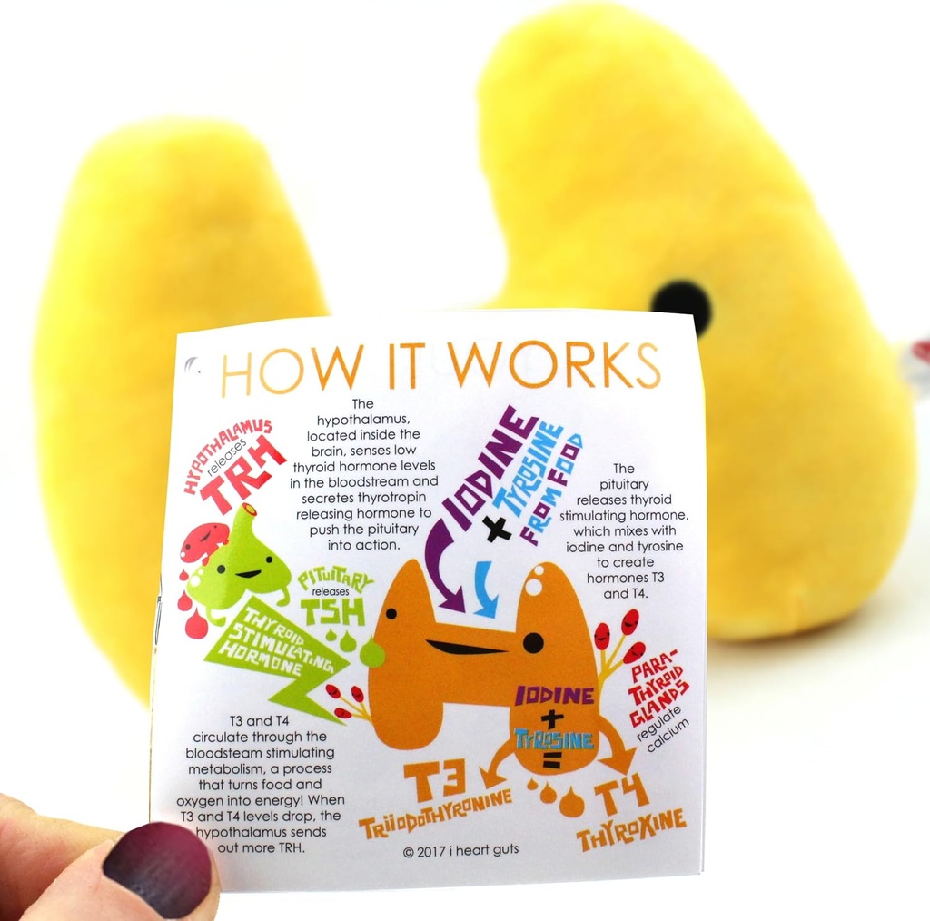 i-heart-guts-thyroid-plush---thyroid-sup-5.jpg