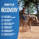 equine-total-recovery-horse-supplement---2.jpg