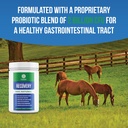 equine-total-recovery-horse-supplement---6.jpg