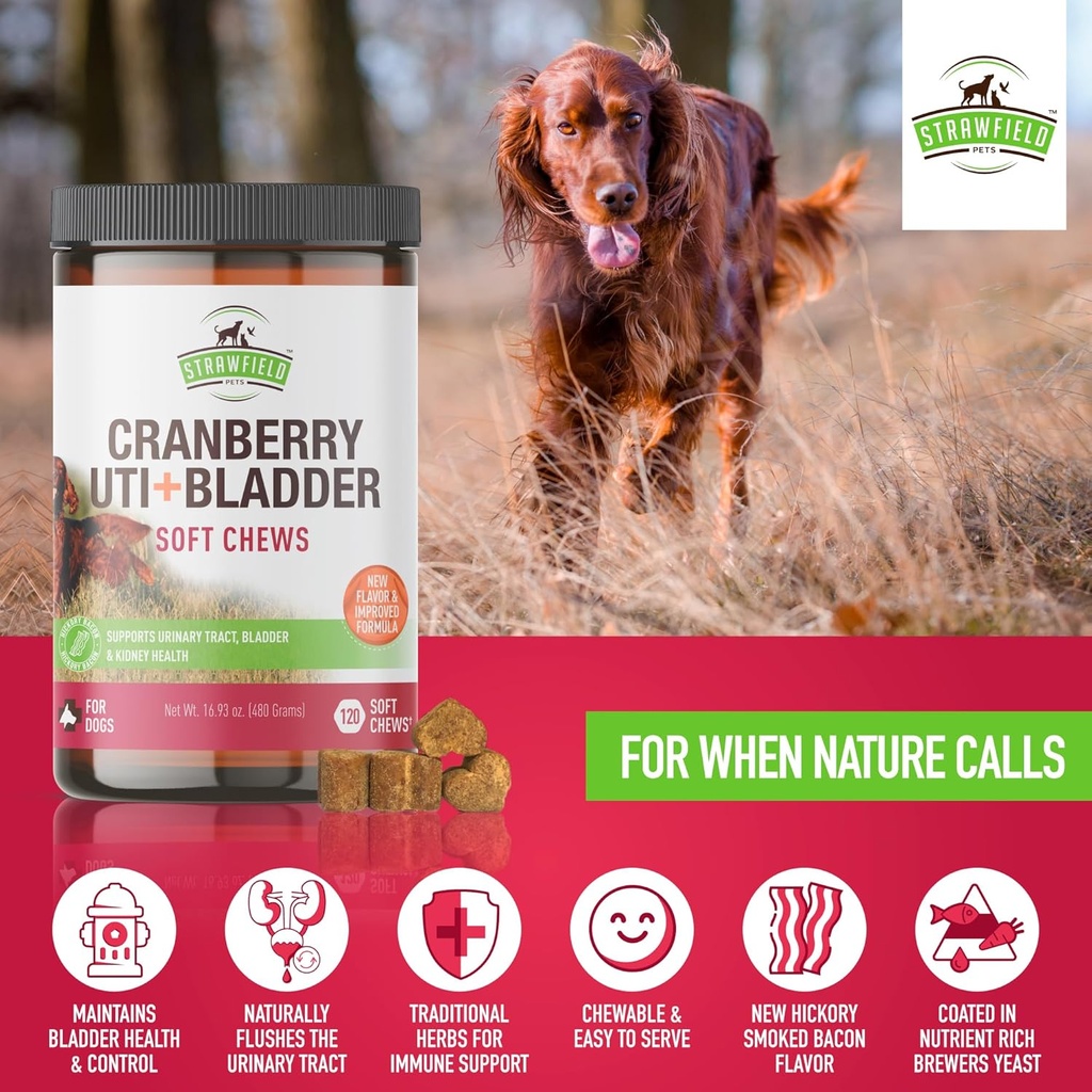 cranberry-bladder-uti-chews-for-dogs-d-m-6.jpg