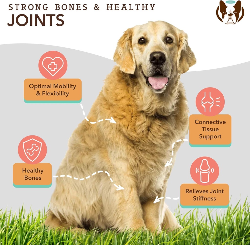 natural-dog-company-dog-supplements-for--5.jpg