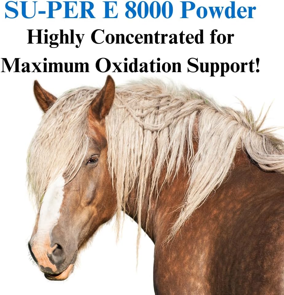 su-per-e-8000-horse-antioxidant-suppleme-3.jpg