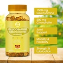 glucosamine-chondroitin-gummies-with-msm-3.jpg