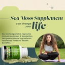 sea-moss-capsules---60-capsules-seamoss--5.jpg
