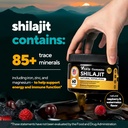 himalayan-shilajit-gummies-for-men-women-4.jpg