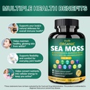 bualle-irish-sea-moss-capsules-organic-s-4.jpg
