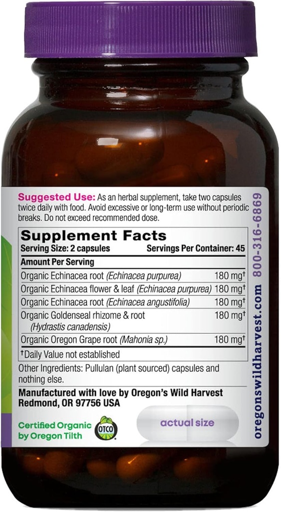 oregons-wild-harvest-echinacea-goldensea-2.jpg