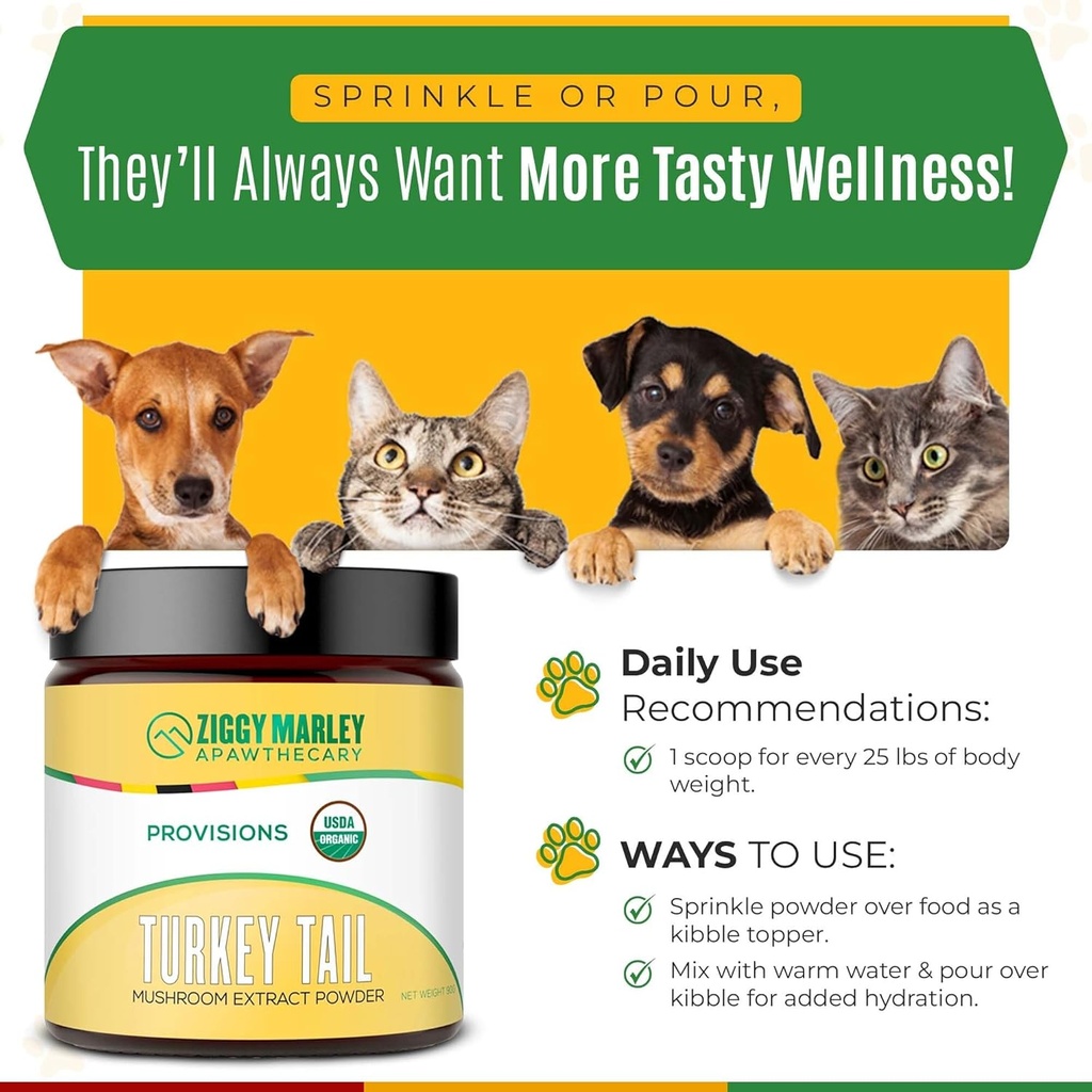 ziggy-marleys-usda-organic-turkey-tail-m-5.jpg
