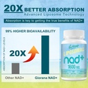 1600-mg-liposomal-nad-supplement-nad-boo-3.jpg