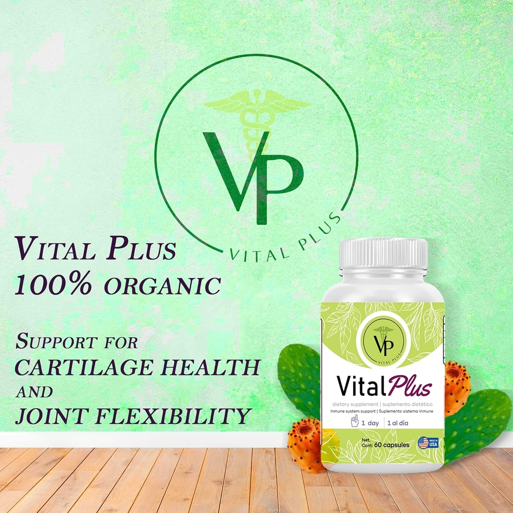 vital-plus---treatment-for-varicose-vein-4.jpg