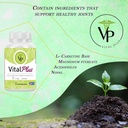 vital-plus---treatment-for-varicose-vein-6.jpg