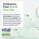hyperbiotics-vital-nutrients-pro-15-adva-5.jpg
