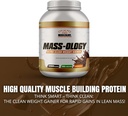 muscleology-weight-gainer-whey-protein-p-4.jpg
