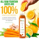 5-day-protein-juice-cleanse-by-raw-fount-4.jpg