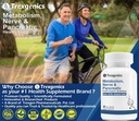 trexgenics-metabolism-support-with-gymne-6.jpg