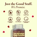 pure-himalayan-shilajit-gummies-1500mg---2.jpg