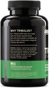 optimum-nutrition-tribulus-terrestris-62-6.jpg