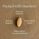 new-chapter-vitamin-c-immune-defense-sup-4.jpg