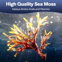 25-in-1-sea-moss-capsules-120-capsules-p-3.jpg