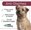 vet-worthy-anti-diarrhea-for-dogs---dog--2.jpg